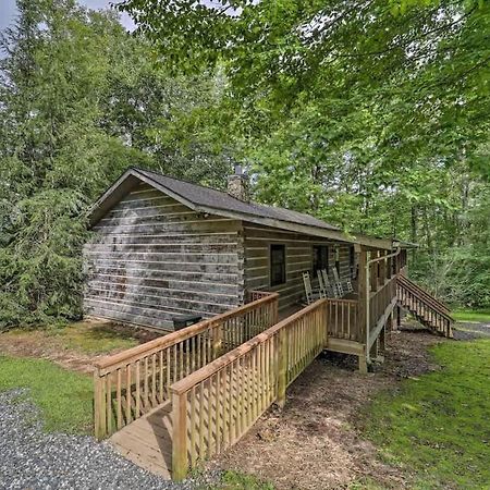 Cozy 'Grey Fox' Cabin Between Boone & Blowing Rock Buitenkant foto