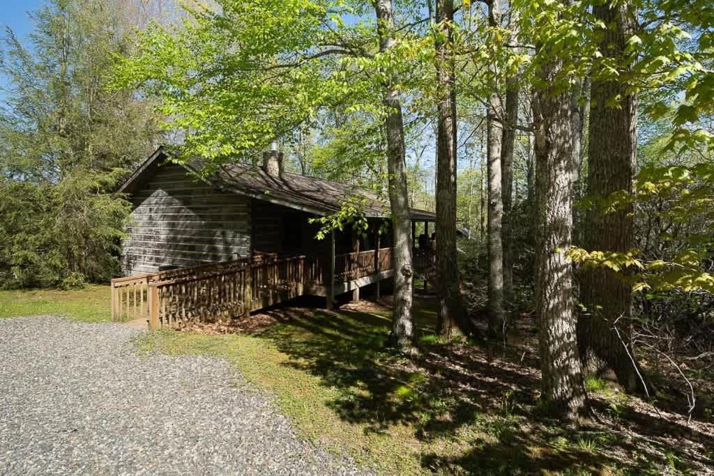 Cozy 'Grey Fox' Cabin Between Boone & Blowing Rock Buitenkant foto